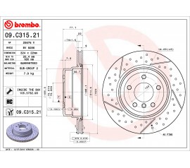 Discos de freno Trasero 09.c315.21