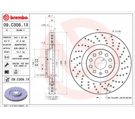 Discos de freno traseros 09.C306.1X